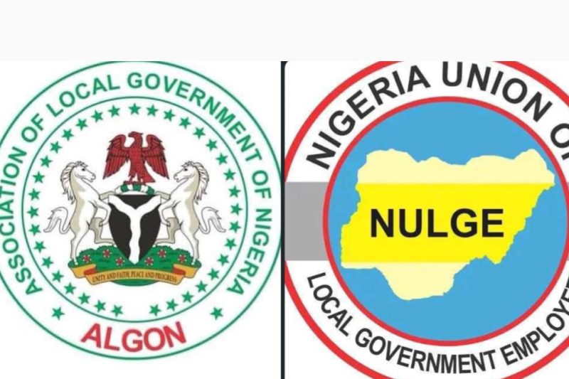 Osun LG: NULGE Strike Politically Motivated, Not About Workers’ Safety — Osun ALGON