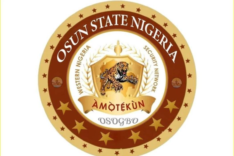 Stop Acting Like a Political Arm — Public Analyst Tells Osun Amotekun to Return to Security Duties