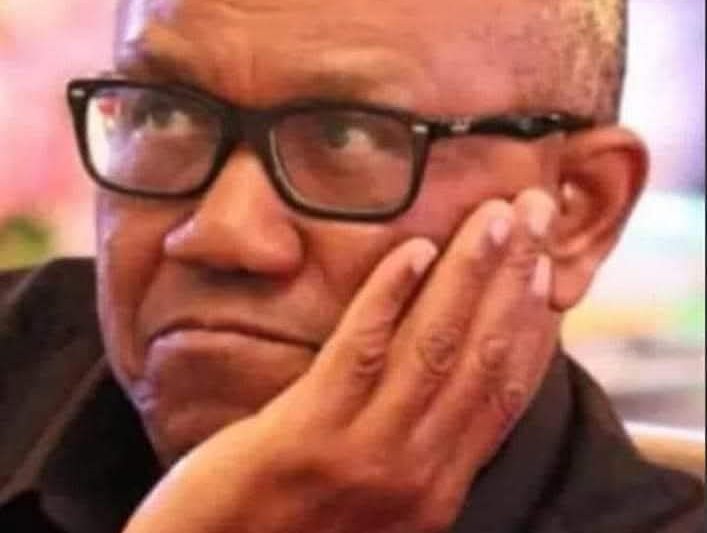 Peter Obi Will Not Get Presidential Ticket Of PDP, ADC, LP — Bwala